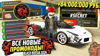 ВНИМАНИЕ!⚡️НОВЫЕ ПРОМОКОДЫ НА ДЕНЬГИ BLACK RUSSIA. СЕКРЕТНЫЕ ПРОМОКОДЫ НА МАШИНЫ БЛЕК РАША.