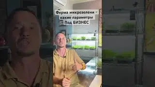 Ферма Микрозелени параметры помещения под Бизнес