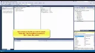 Setup application Launch Condition 