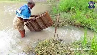 Traditional Fish Trapping Bamboo Tools-Fishing in Flood Waters l  Fishing Media