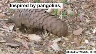 Scientists develop magnetically controlled soft medical robot inspired by the pangolin