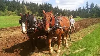 Nursery Song for kids about farming with horse and plough | Mother Nature | Music Video with lyrics