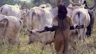 Il défend son troupeau à la kalash