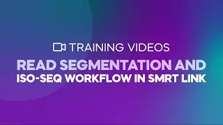 Read Segmentation and Iso-Seq workflow in SMRT Link