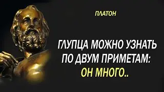 Лучшие Афоризмы ПЛАТОНА. Мудрые Цитаты со Смыслом