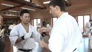 Roman Nesterenko - best technics karate kyokushinkai