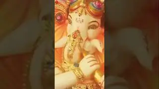 #Gajanan #SukhKartaDukhHarta #RaviSinghal #DivyaKumar #ganeshchaturthi #ganpatibappamorya #shorts