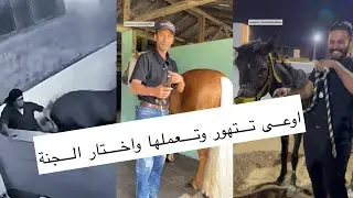 اوعى تتهور وتعملها واختار الجنة