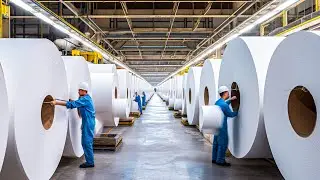 How Toilet Paper is Made