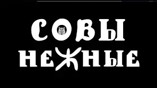 Совы Нежные