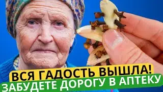 1 зубчик и печень сама себя почистит! Сахар рухнет, суставы крепнут, мочевая кислота выйдет!