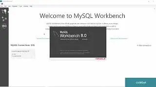 CRUD operations in MYSQL workbench