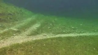 Amazing and Beautiful Flooded Meadow