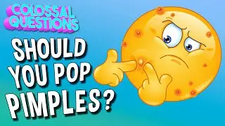 Should You Pop Pimples? | COLOSSAL QUESTIONS