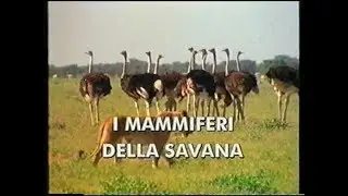 I mammiferi della savana