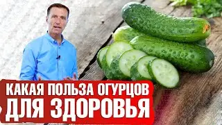 Польза огурцов🥒. Как употреблять огурцы для максимальной пользы