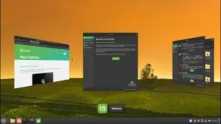 Linux Mint 21.1 "Vera" |  Cinnamon 5.6 | will be supported until 2027.