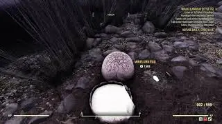 Fallout 76 Collect Mirelurk Eggs Location & Kill A Mirelurk Hatching