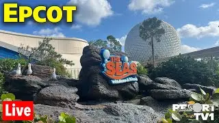 🔴Live: Whimsical Wednesday at Epcot - Rides, Shopping & More - Walt Disney World Live Stream