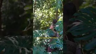 Finding a jungle of monstera and harvesting the most delicious fruit in the world 🌱