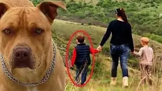 Эта Собака Набросилась На Детей По Необычной Причине. И Вот По Какой!