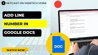 How to Add Line Number in Google Docs | How to Add Line Count On Google Docs?