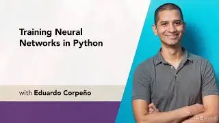 Training Neural Networks in Python | Types of neural networks | Building Your Network Part 1