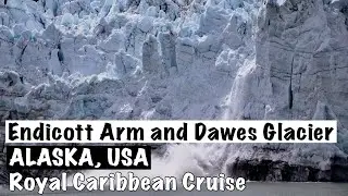 Endicott Arm and Dawes Glacier Alaska | Endicott Arm Fjord | Royal Carribean Cruise