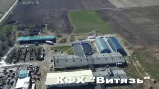 Линия калибровки семенного картофеля Dt Dijkstra