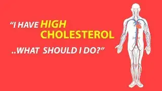 I Have High Cholesterol.. What Should I Do?