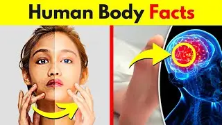 Interesting Facts About Human Body | Fascinating Facts