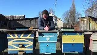 Мука для пчёл весной . Белковые подкормки для пчёл.