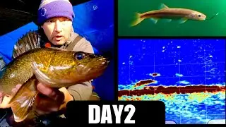 Walleye Fishing Overnight | CAVEMAN RECIPE?