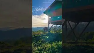 Elephant Encounter while shooting video at Indonesia #elephant #indonesia