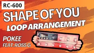 SHAPE OF YOU - Loop Arrangement