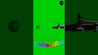 Whale 🐳 #short #green #greenscreenvideo #animation