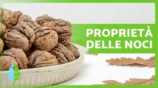 BENEFICI delle NOCI 🥜 (Proprietà medicinali, Come mangiarle e Controindicazioni)