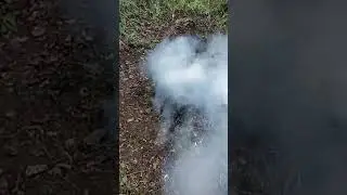 у дачи, итоги второго дня