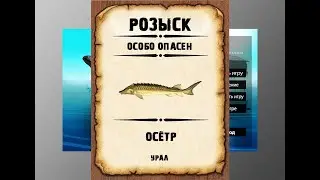 Мутанты рр3. Осетр рр3. Урал.