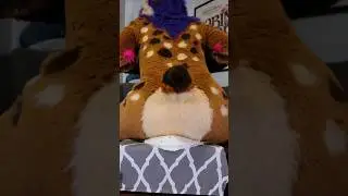 Strobes Sits On Cake | Fursuit Butts
