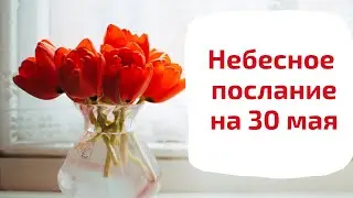 Небесное послание на 30 мая. Сила вашей веры.