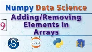 Python Data Science, How to Add and Remove Elements From Arrays Using Python NumPy Functions 📓🐍📐