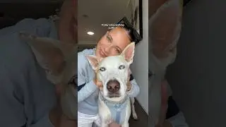 Don’t forget to walk ur dog today😌 