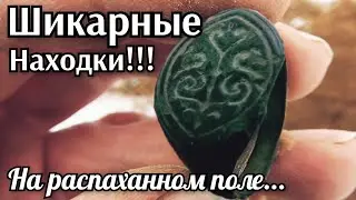 Шикарные находки на распаханном поле! Коп монет и старины! Поиск металлоискателем! Поле удивило!