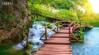 Welcome to Soothing Relaxation 💚 Home of Relaxing Music & Beautiful Nature