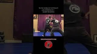 Stick fighting of Kukishinden Ryu , Hanbojutsu,  #shorts #ninja #samurai #martialarts