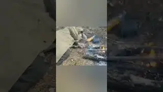 ПИЩЕВАЯ КОМА
