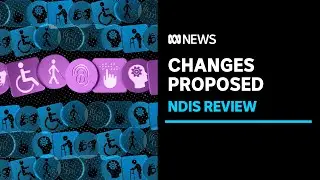 The states and territories are clashing with the federal government over the NDIS | ABC News