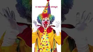 13 июня 2023 г.