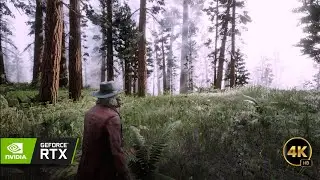 [Red Dead Redemption 2]4K: Photorealistic Ray Tracing Mod - The Most Realistic Experience”